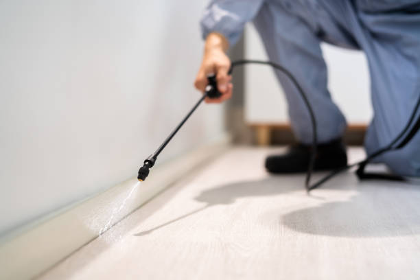 Bed Bug Pre-Treatment Preparation Assessment in Swisher