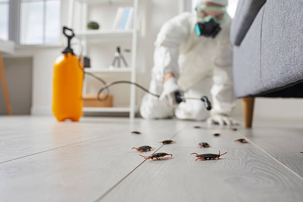 Post-Treatment Bed Bug Interceptor Monitoring in Swisher